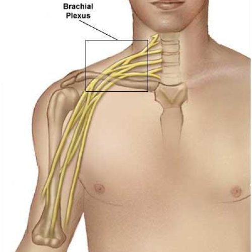 Dr. Chethan Kumar - Plastic Surgeon